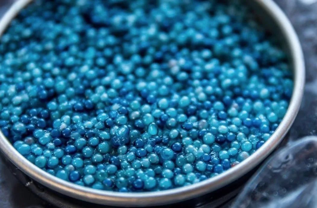 让人爱恨交织的"蓝色食品",居然是下一片"蓝海"的创造者?