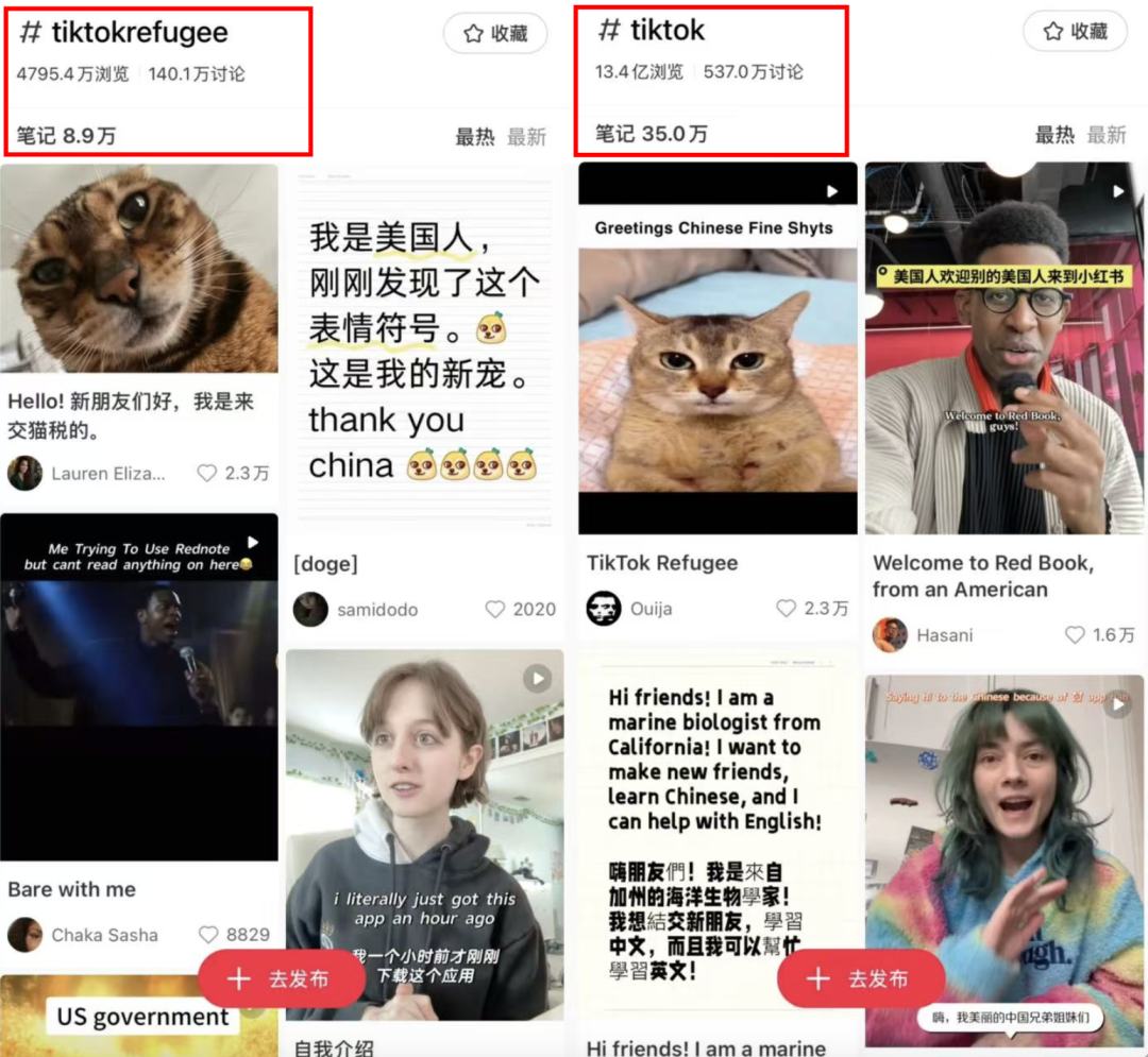 小红书002.png